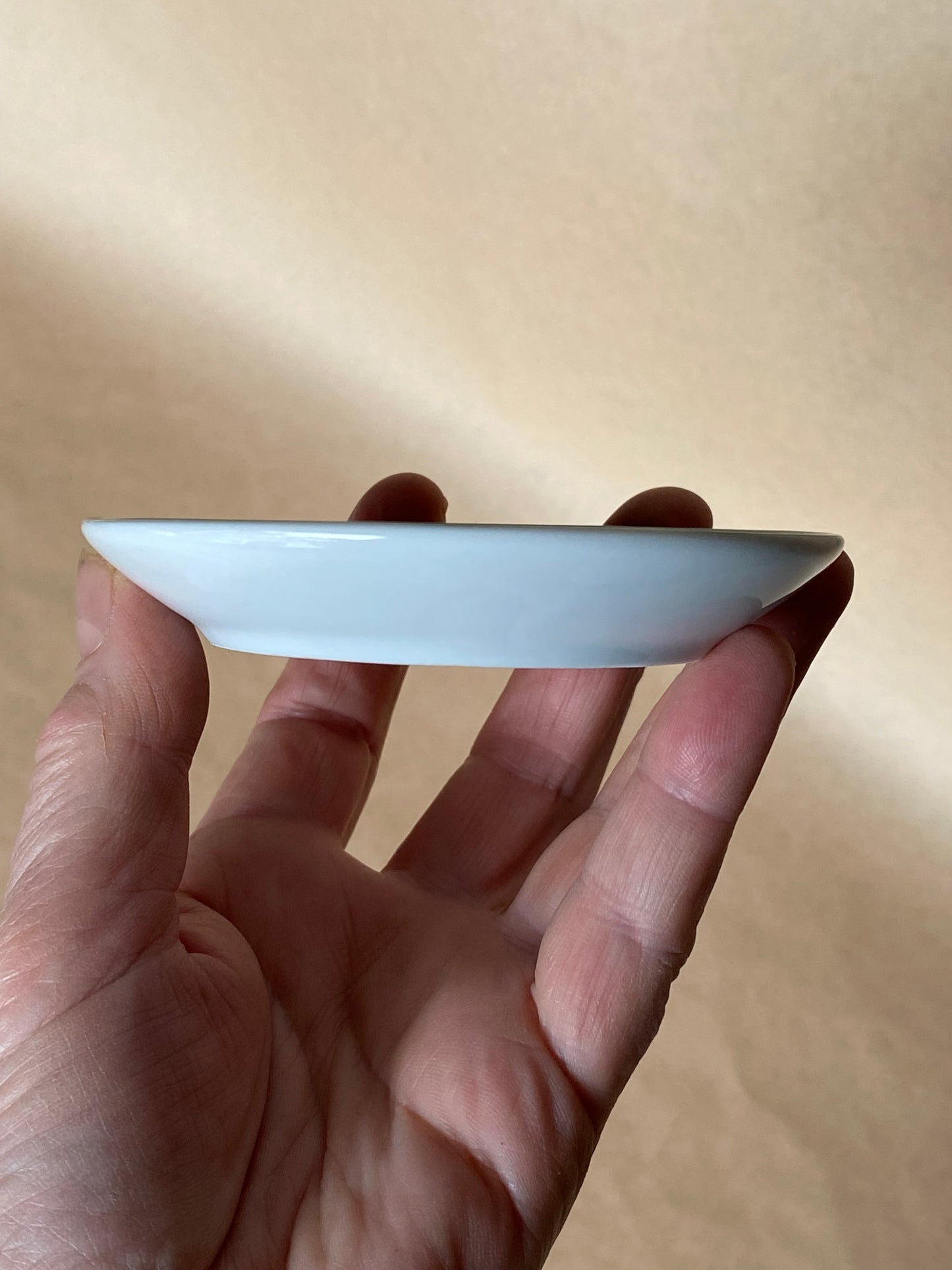 Steve Irwin Australia Zoo trinket dish