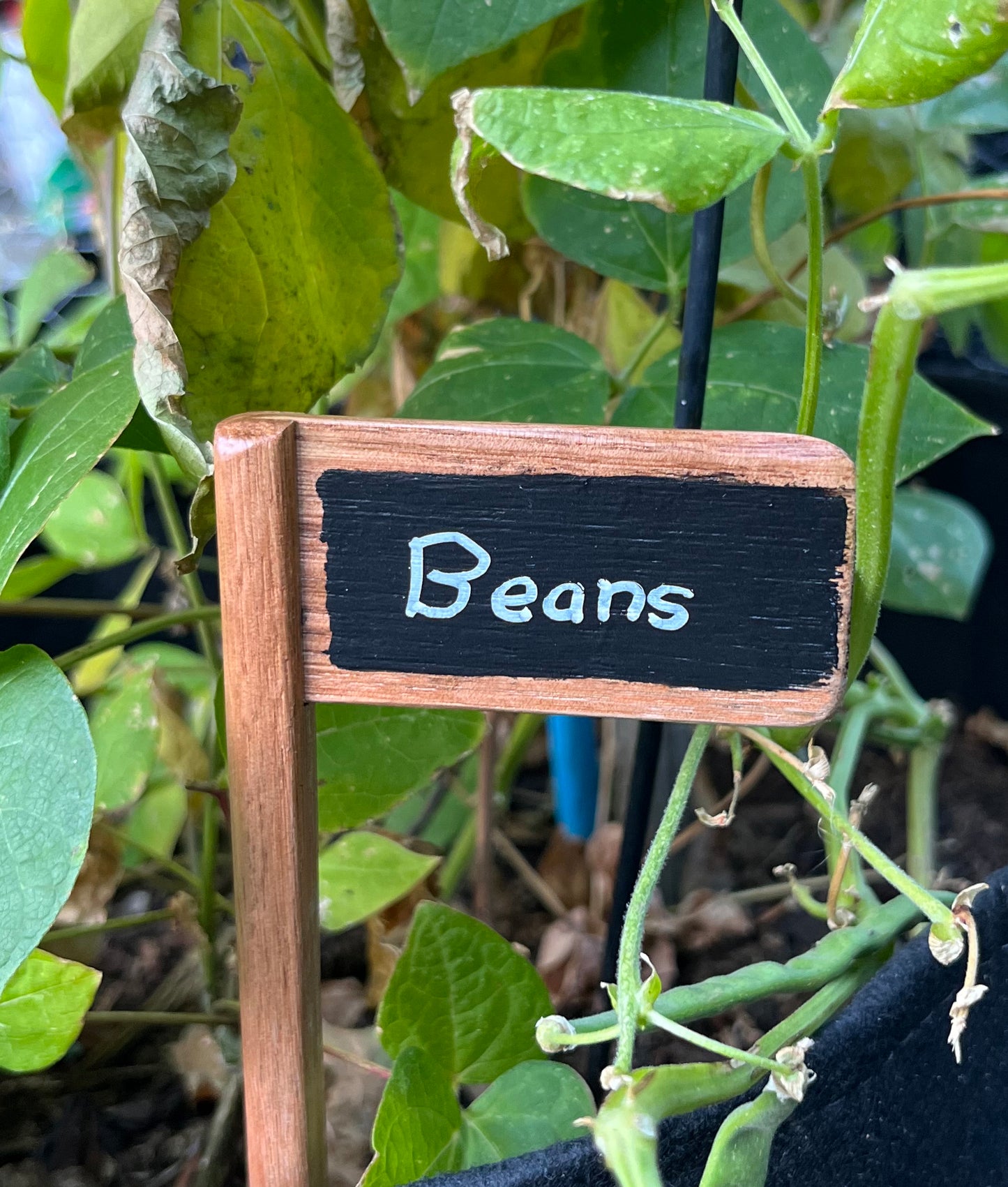 Set of 5 Plant Markers - Handmade from recycled timber