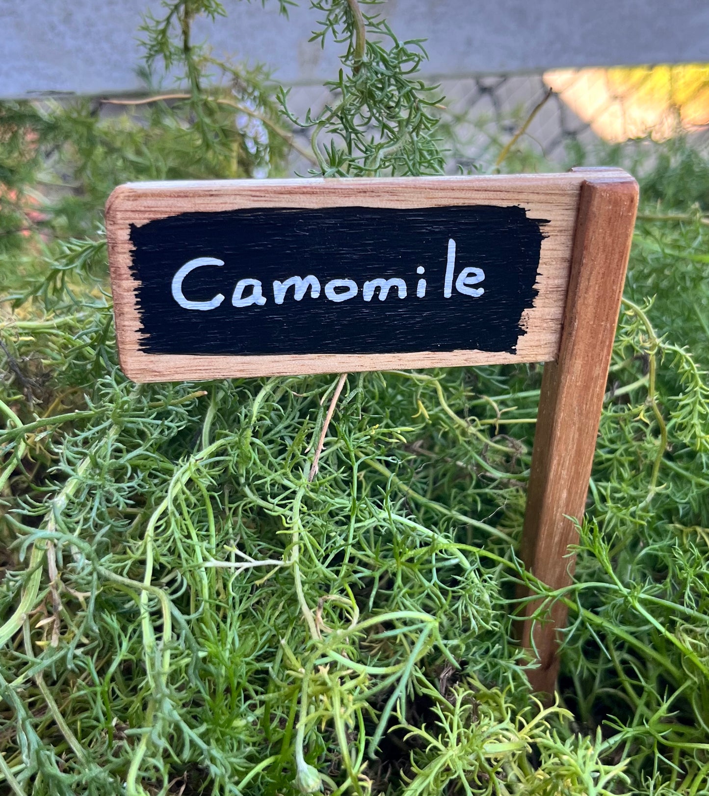 Set of 5 Plant Markers - Handmade from recycled timber