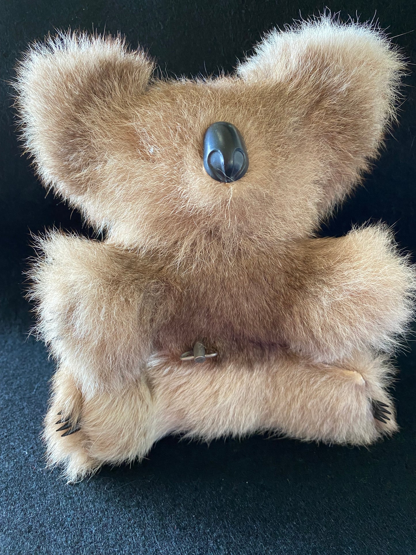 Musical vintage koala bear - Waltzing  Matilda