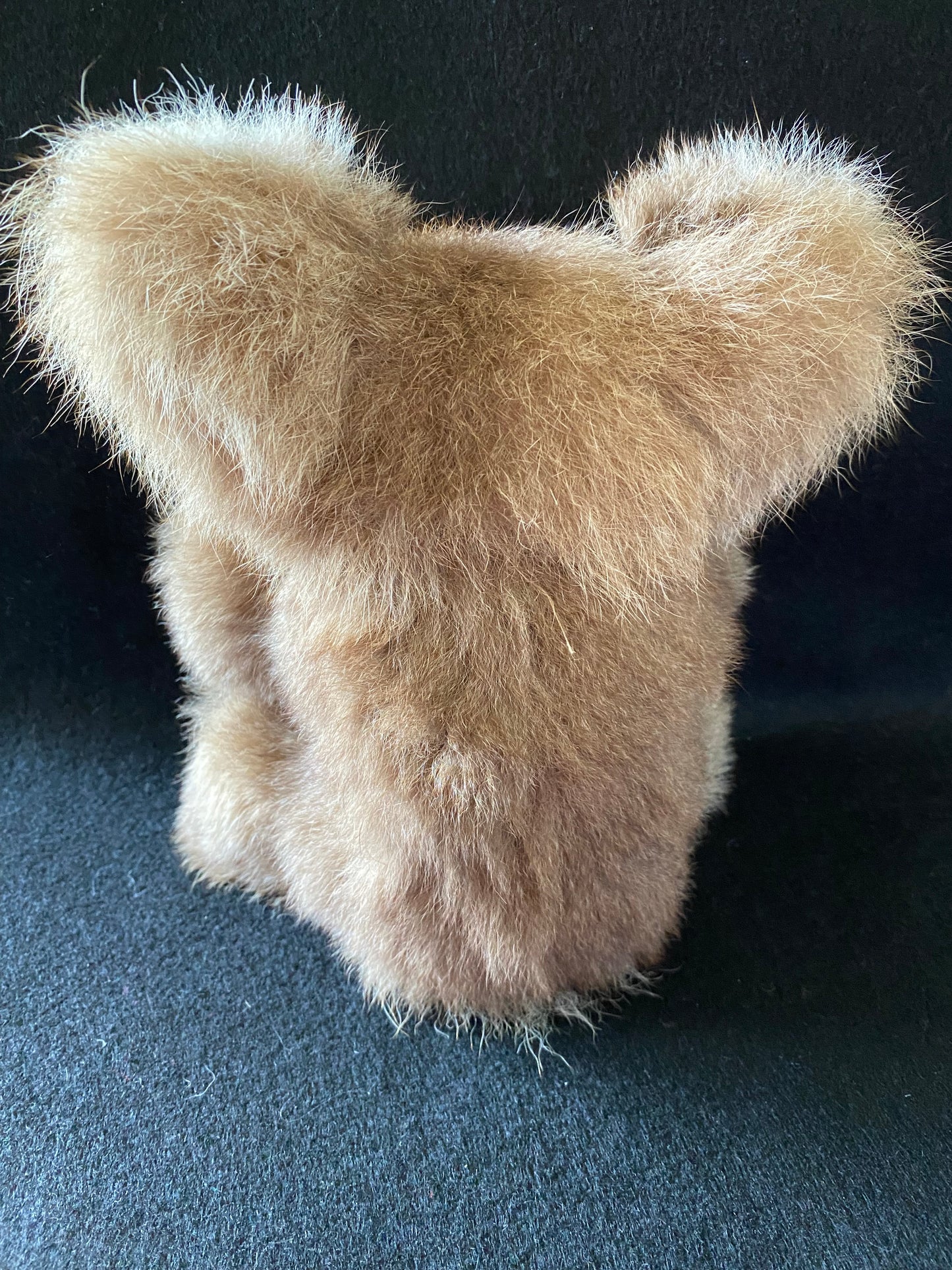 Musical vintage koala bear - Waltzing  Matilda