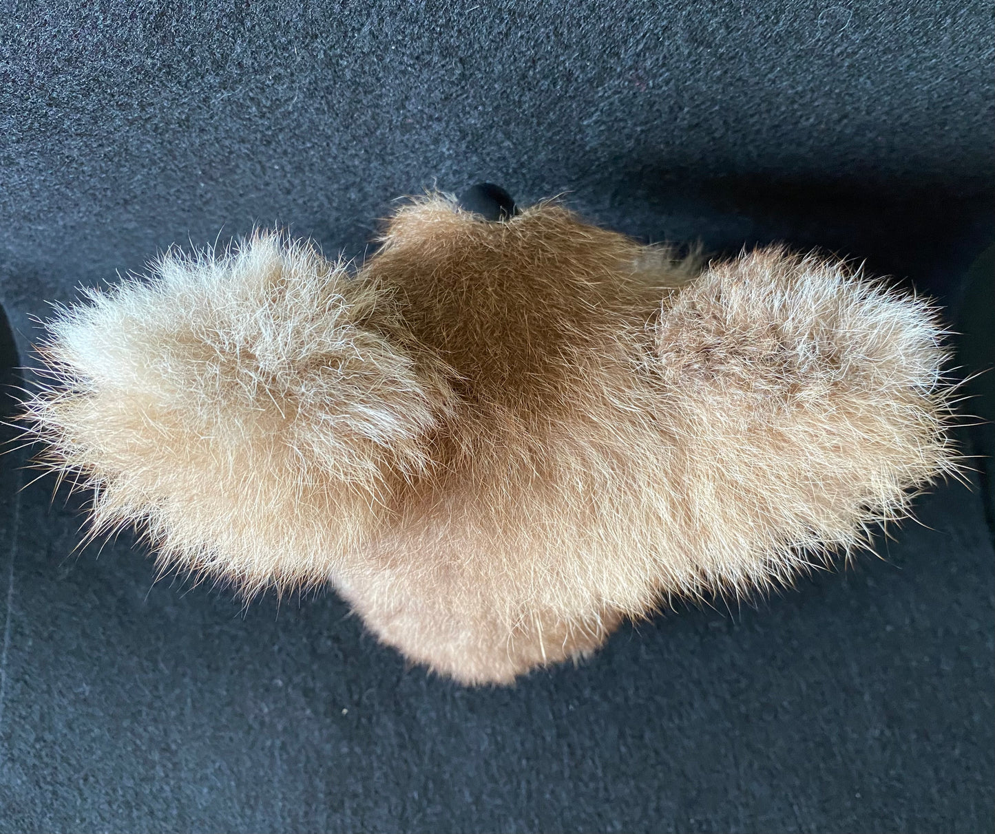 Musical vintage koala bear - Waltzing  Matilda