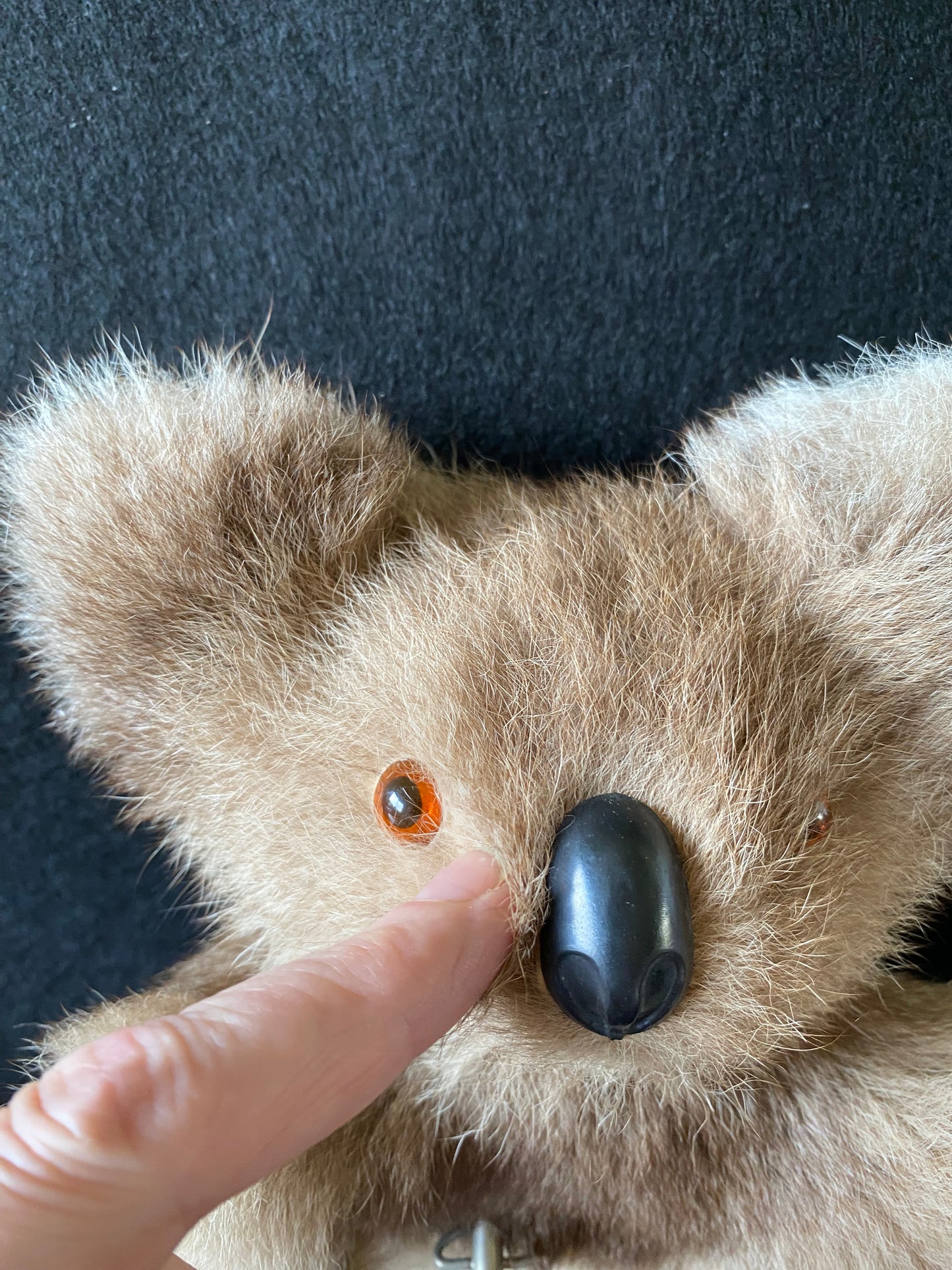 Musical vintage koala bear - Waltzing  Matilda