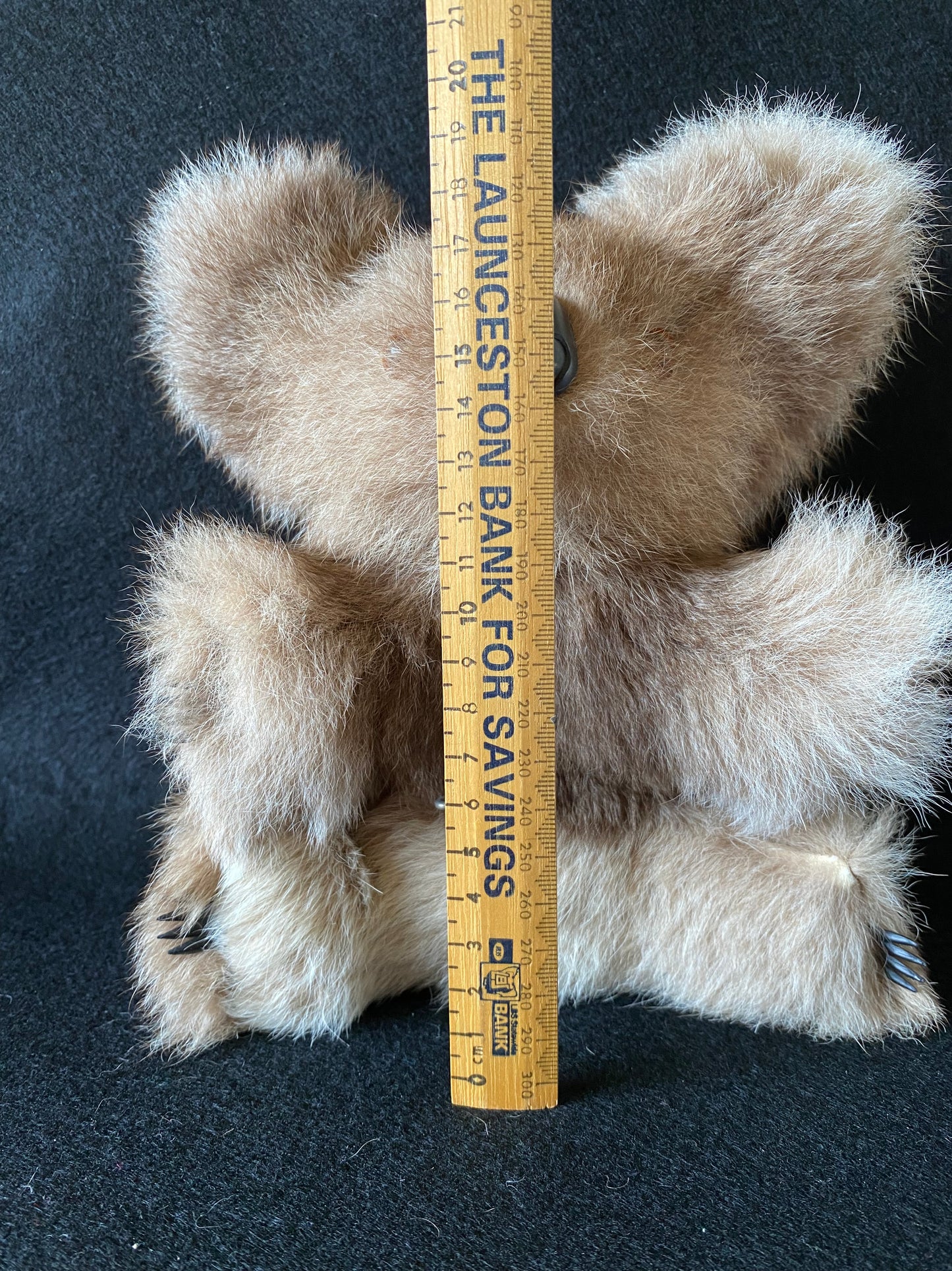 Musical vintage koala bear - Waltzing  Matilda