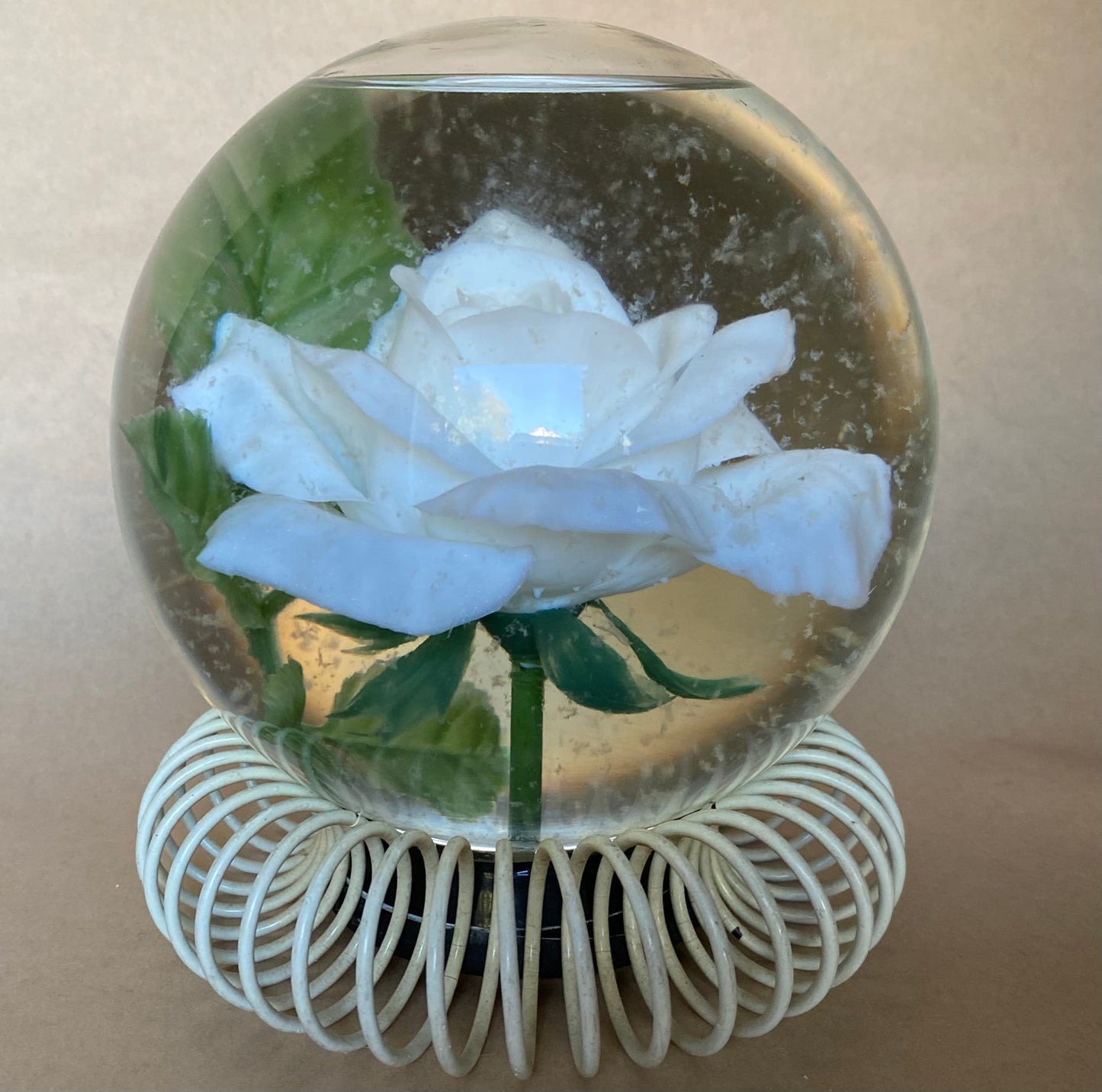 Le Rosarium FRANCE 'Rose Globé'