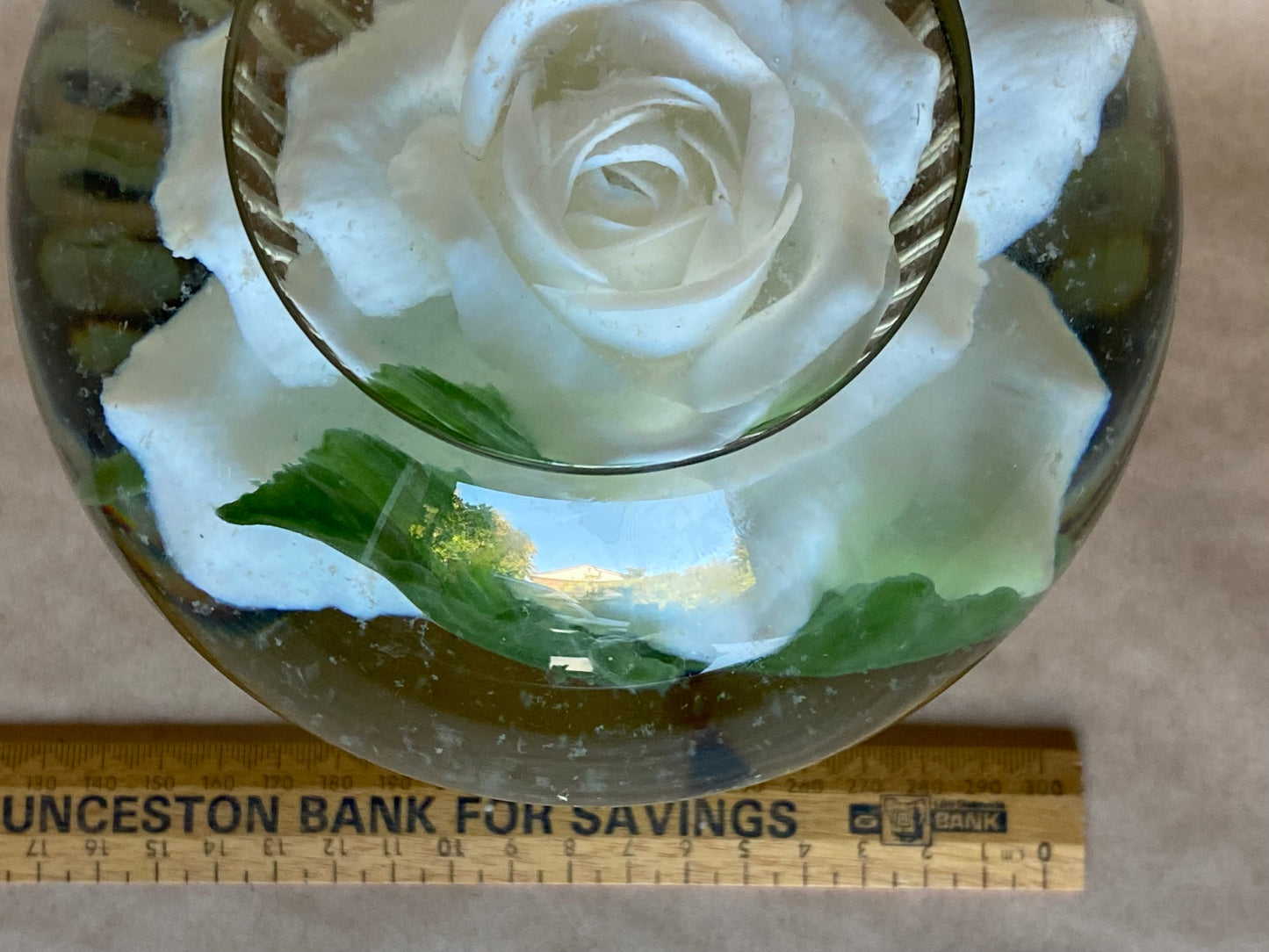 Le Rosarium FRANCE 'Rose Globé'