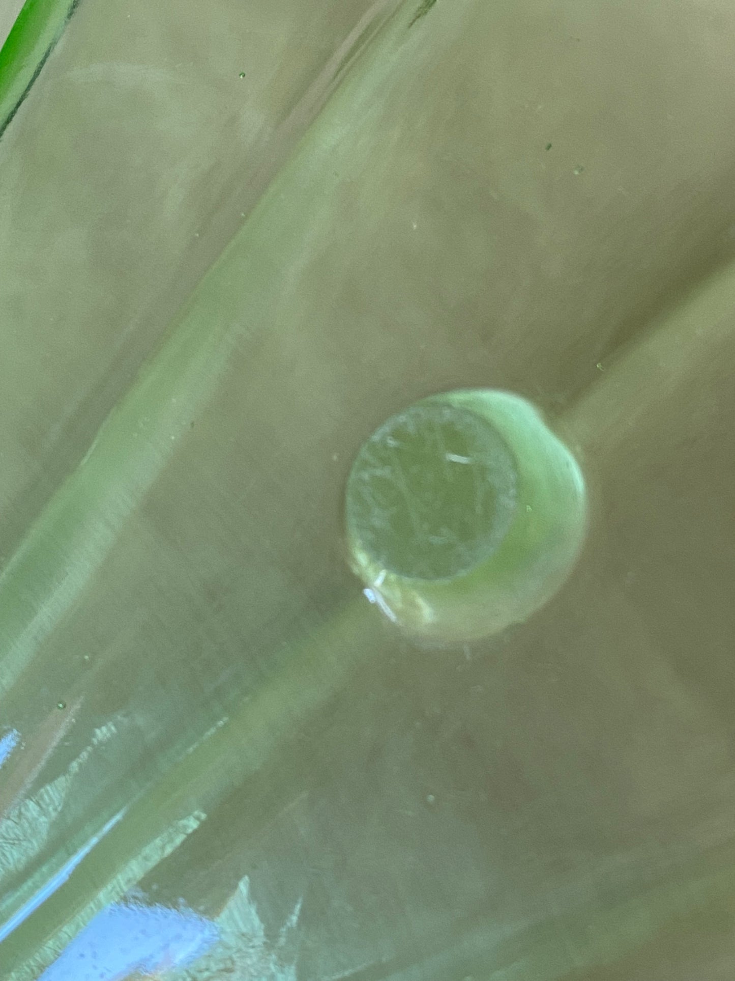 Stölzle-Hermanova Hut Uranium Art Deco glass shell plate (large)