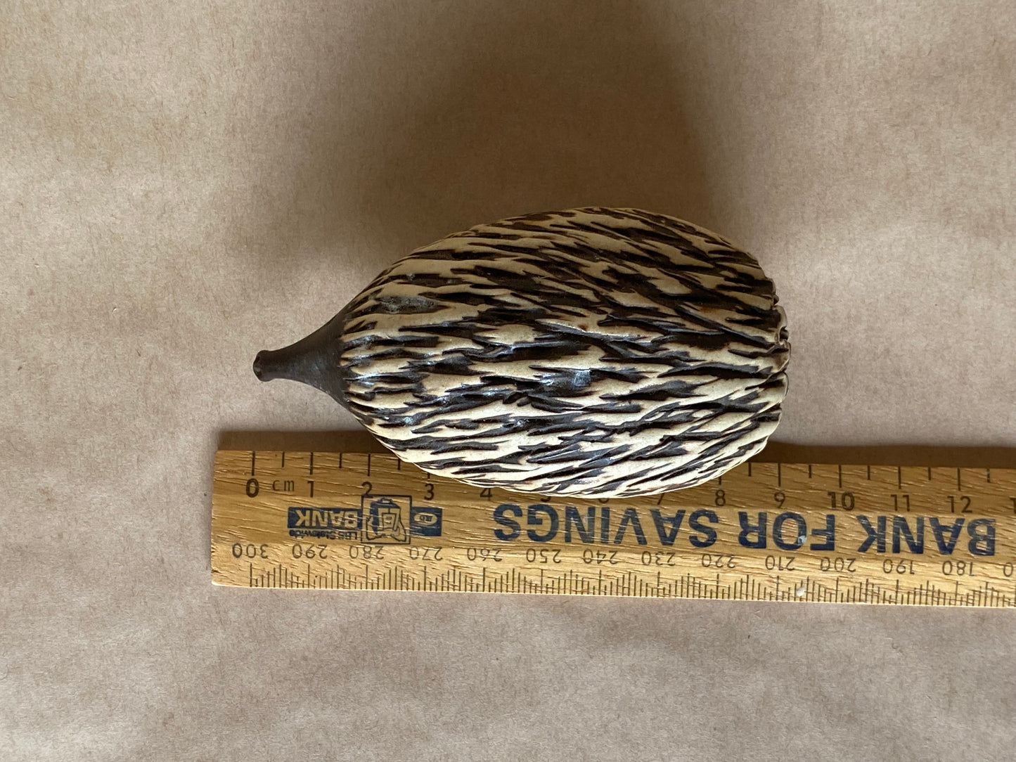 Collectable Billabong Pottery - Echidna