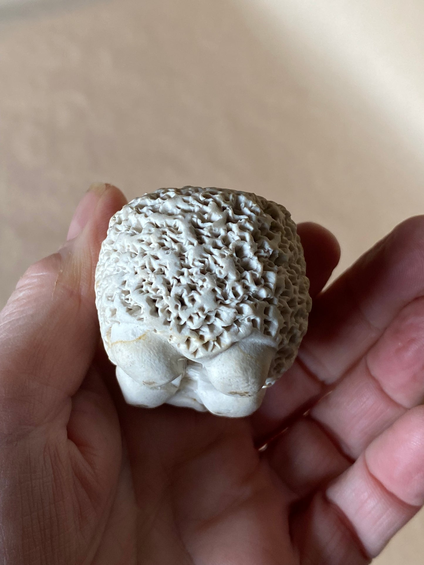 Collectable Billabong Pottery - sheep