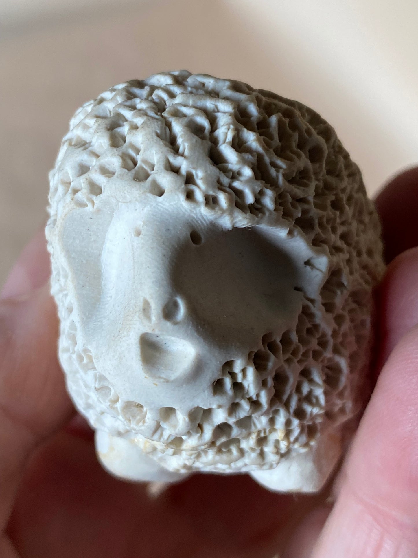 Collectable Billabong Pottery - sheep