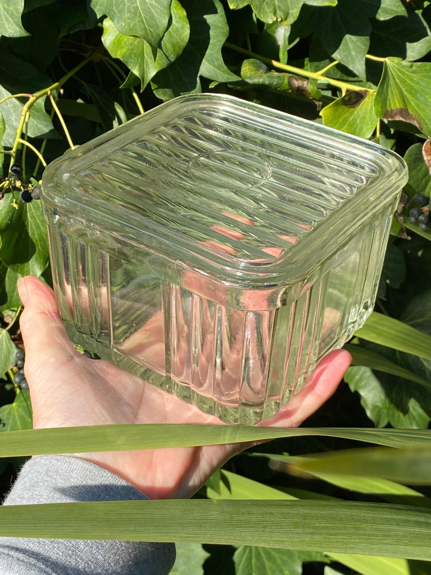 1950s Crown Crystal Australia clear refrigerator box - Square ribbed