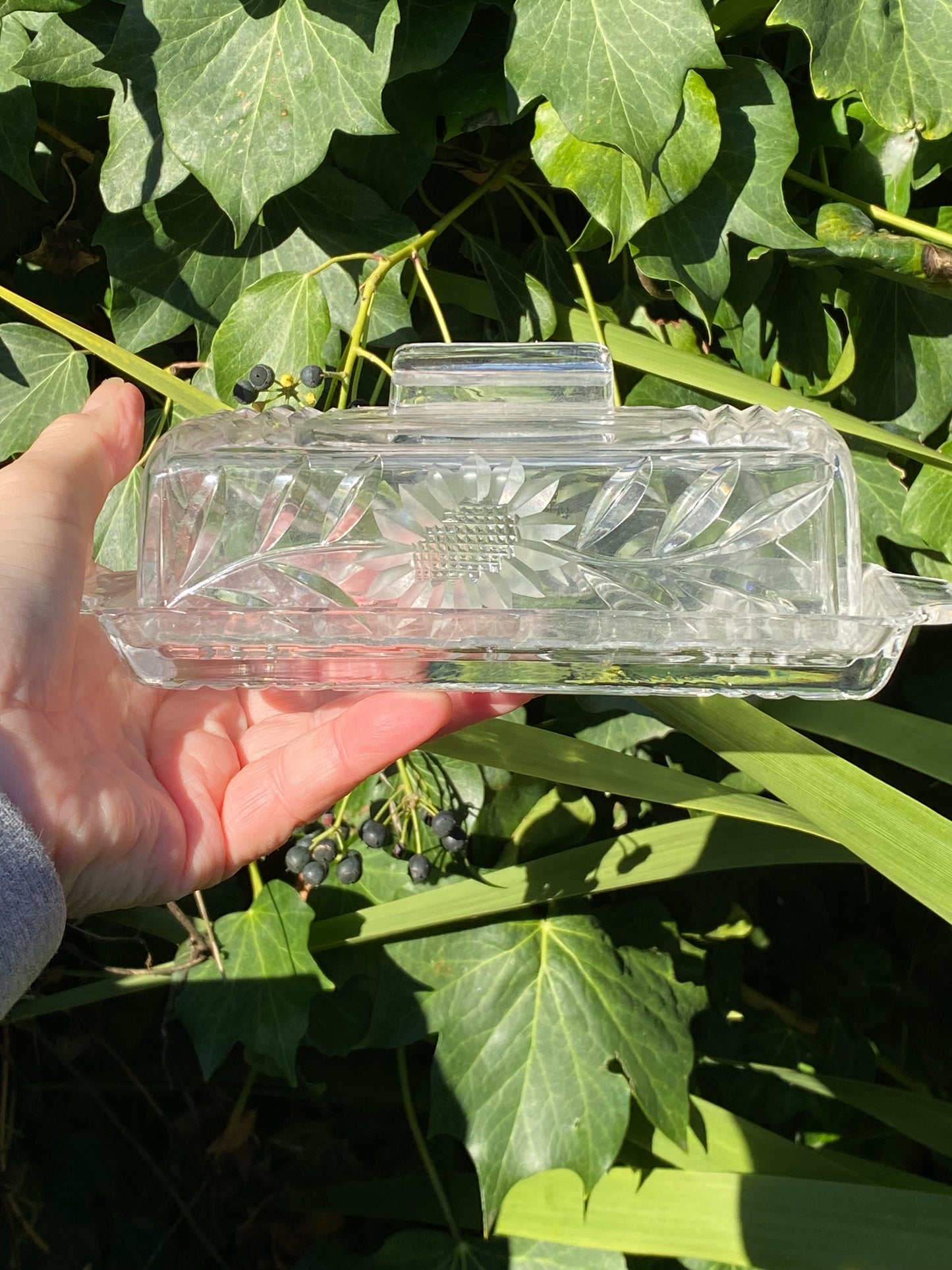 Vintage Cut crystal glass butter dish with lid