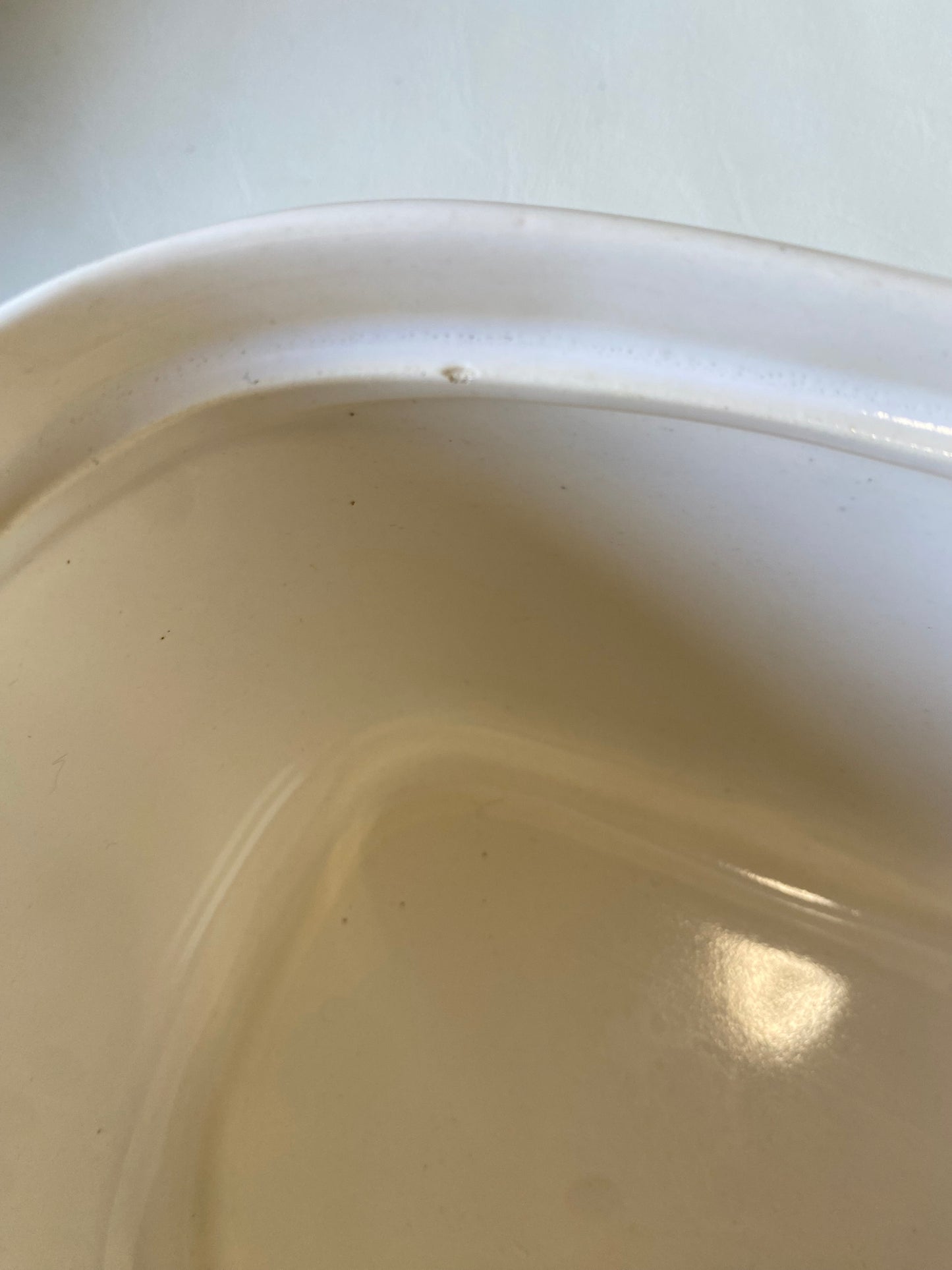 flea bite to inner rim