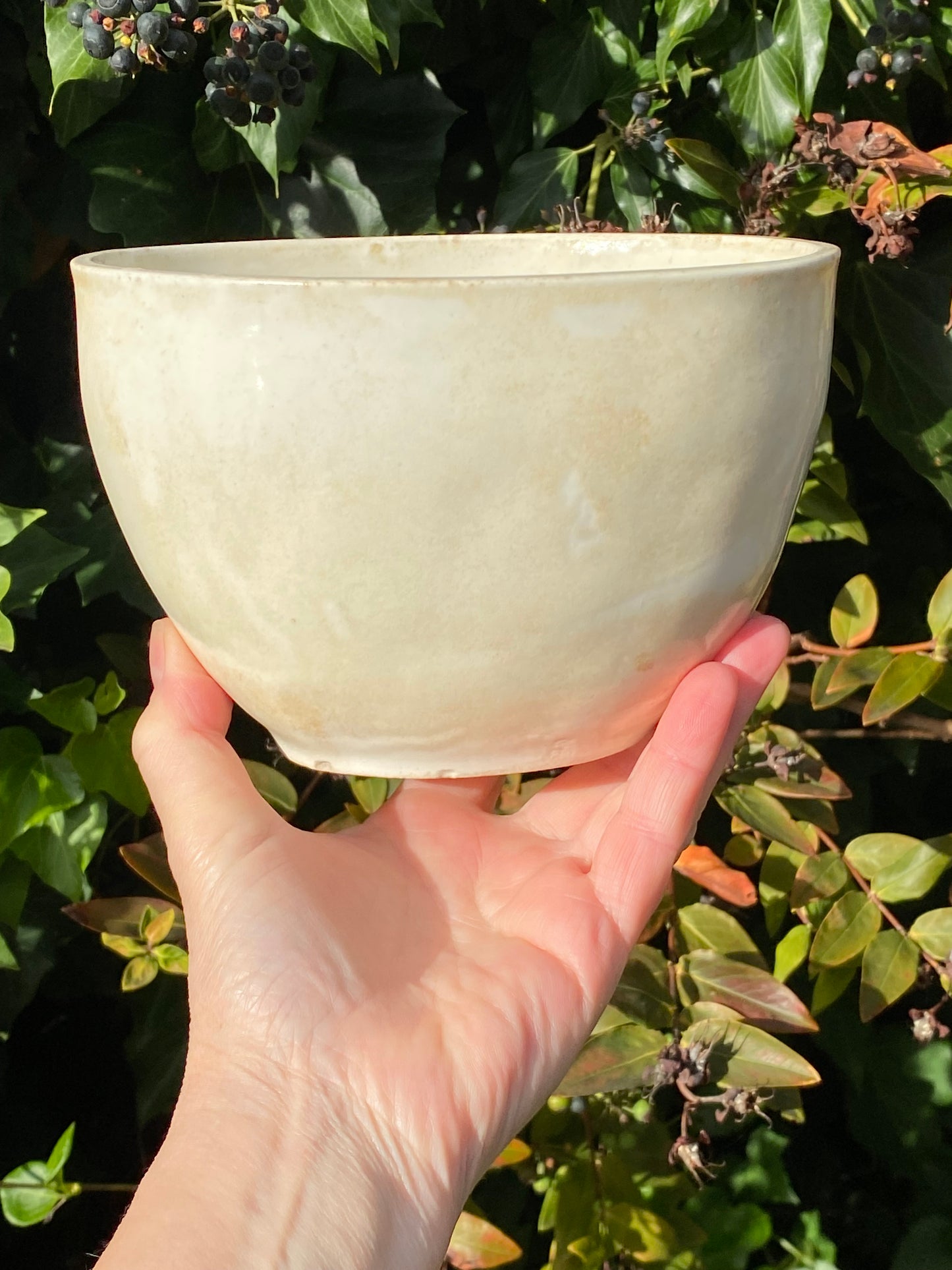 Antique Aspic Pottery Mould