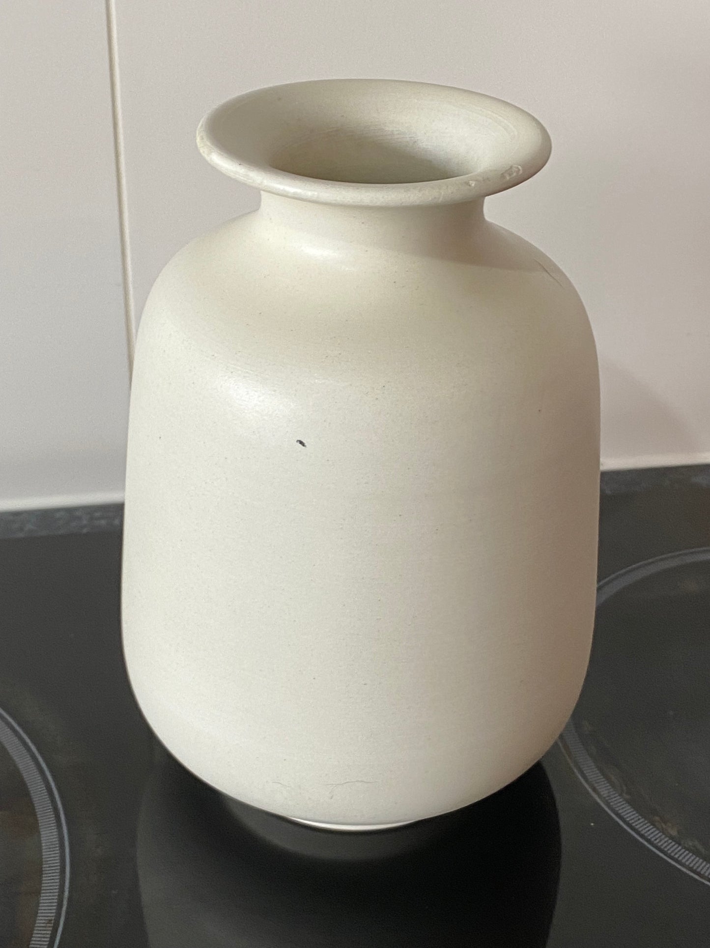 1980s Vintage Bitossi Vase