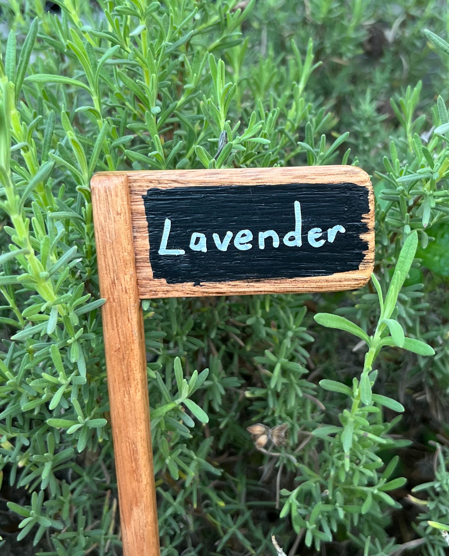 Set of 5 Plant Markers - Handmade from recycled timber
