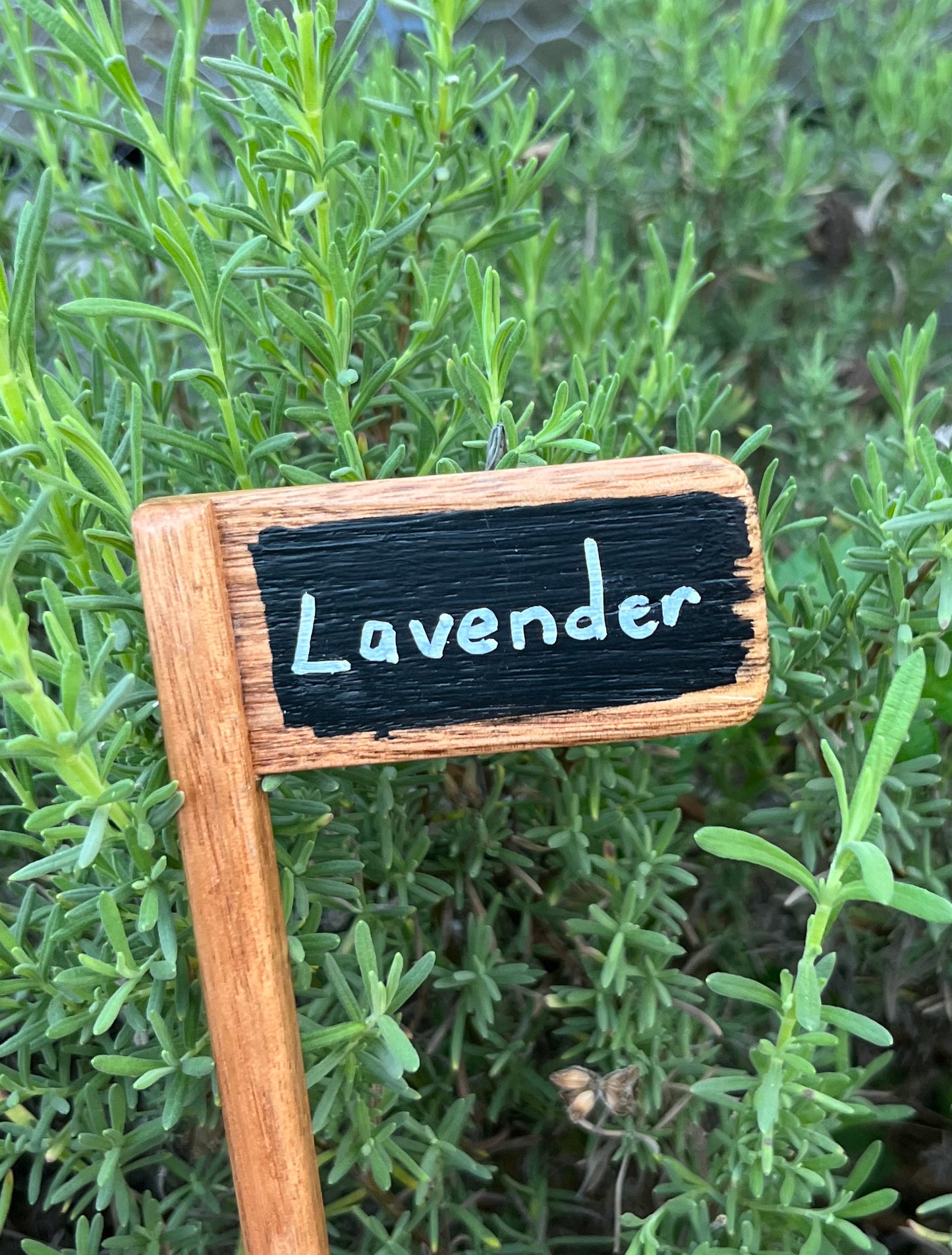 Set of 5 Plant Markers - Handmade from recycled timber