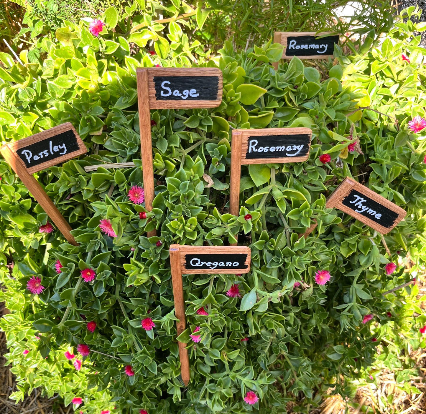 Set of 5 Plant Markers - Handmade from recycled timber