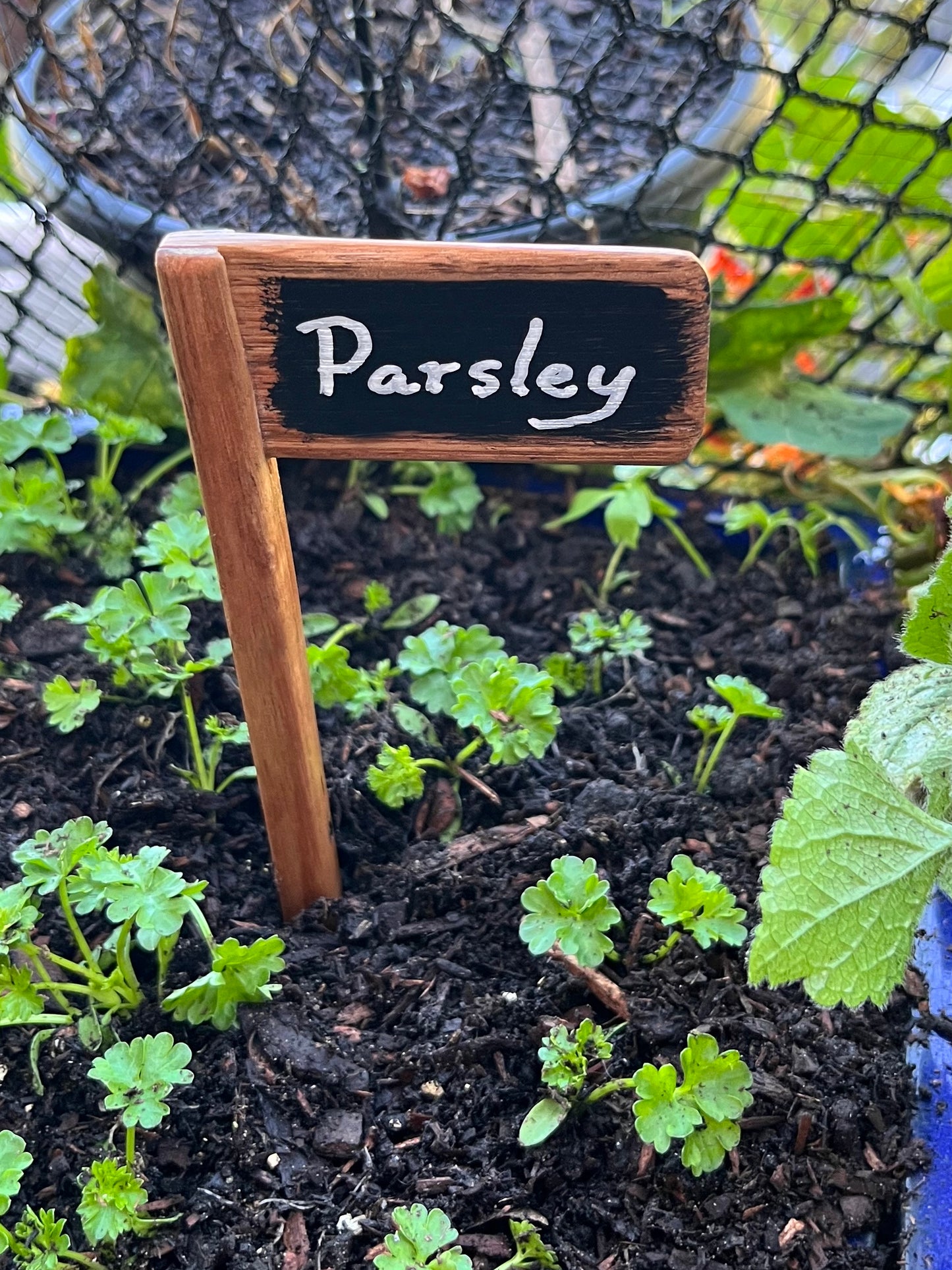 Set of 5 Plant Markers - Handmade from recycled timber