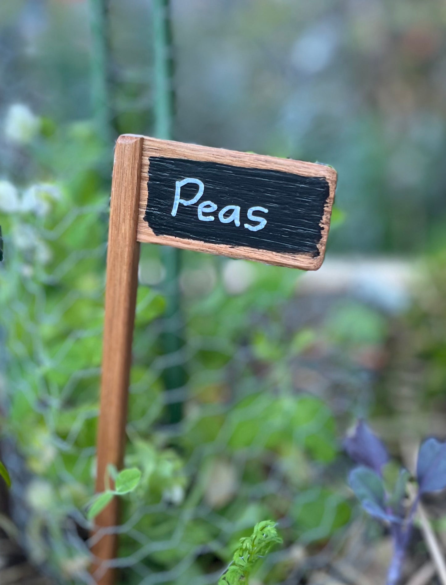 Set of 5 Plant Markers - Handmade from recycled timber