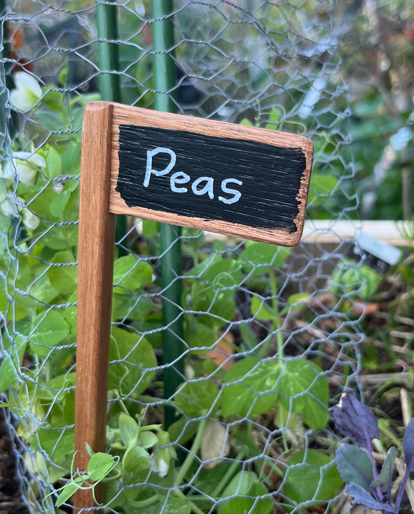 Set of 5 Plant Markers - Handmade from recycled timber
