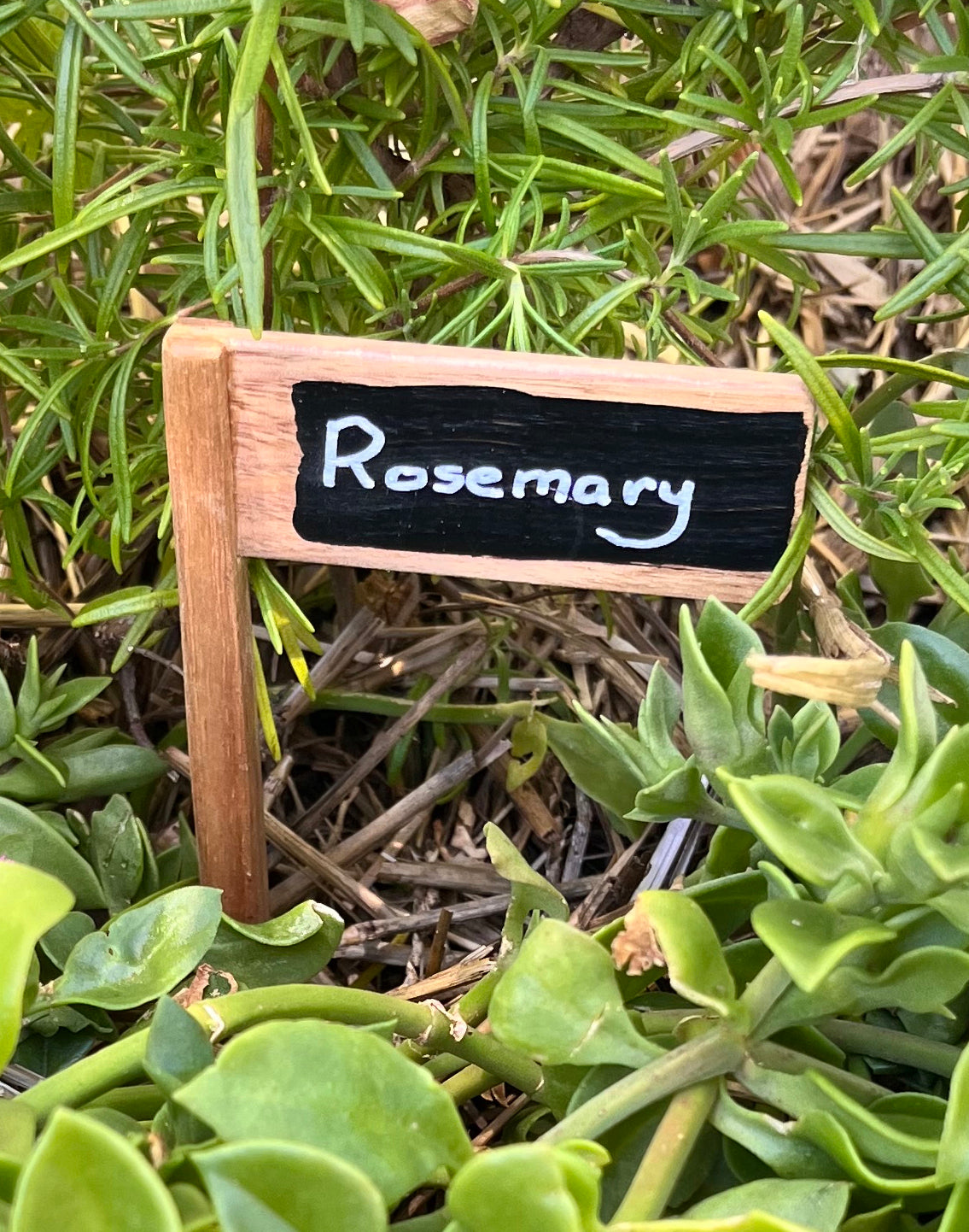 Set of 5 Plant Markers - Handmade from recycled timber